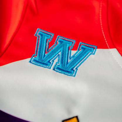 The Wiggles Childrens Hockey Jersey